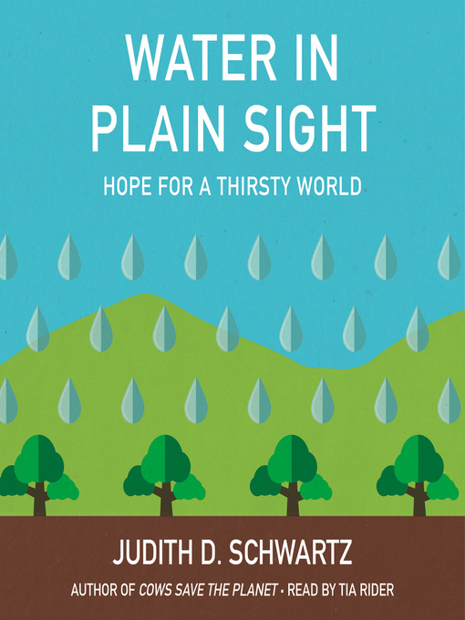 Title details for Water in Plain Sight by Judith D. Schwartz - Available